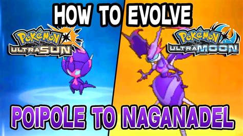 Go to Konikoni City and enter. . How to evolve poipole